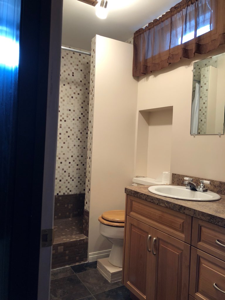 ceramic tile upright shower in basement bathroom