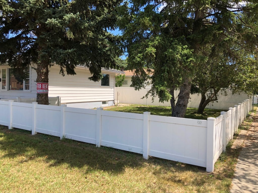 South (Hochelega St) side yard.