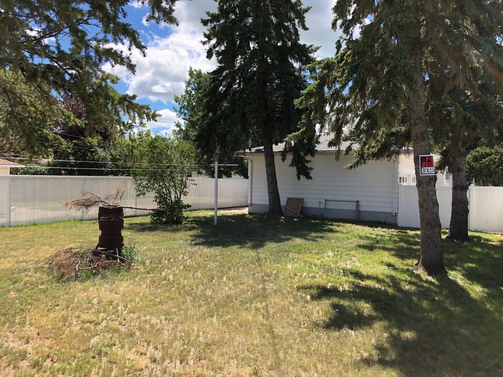 Double pulley clothesline in the north side yard.  We can make the fireplace go away, it was a previous tenant's artwork.